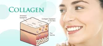 7 tác dụng của collagen với cơ thể